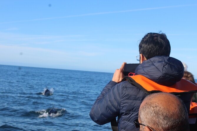 Dolphin Watching + 2 Islands Tour - From Faro - Ilha do Farol and its small community