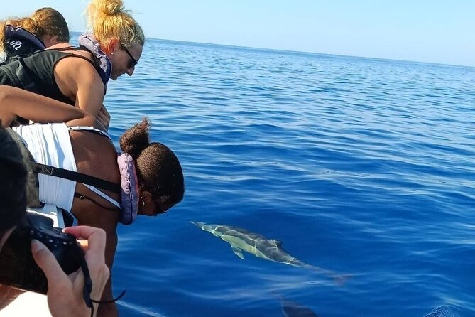 Dolphin Watching + 2 Islands Tour - From Faro - Weather, age, and practical comfort