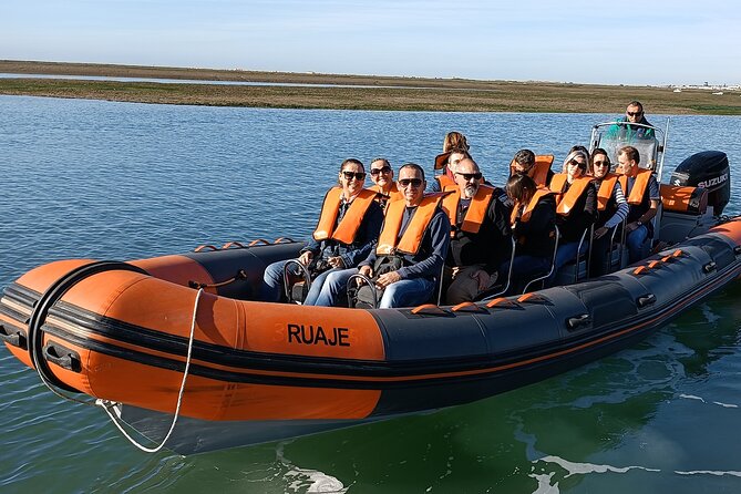 Dolphin Watching + 2 Islands Tour - From Faro - Searching the Atlantic for dolphins
