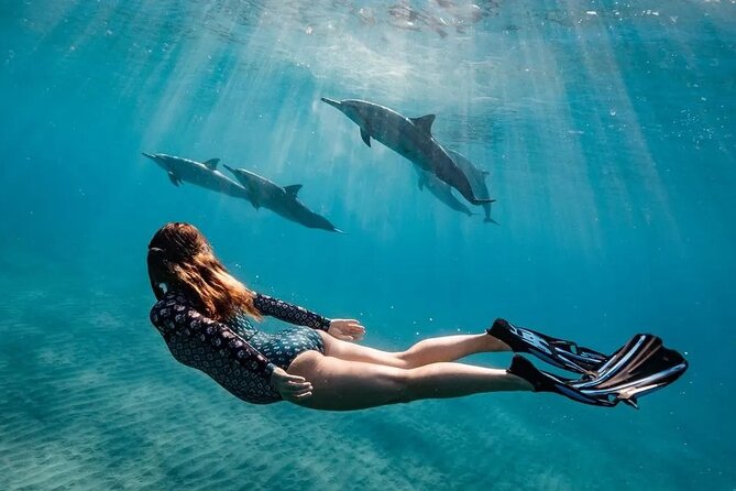 Dolphin watching 7 hours Boat Trip & Snorkelling from Hurghada - Key points to know before booking