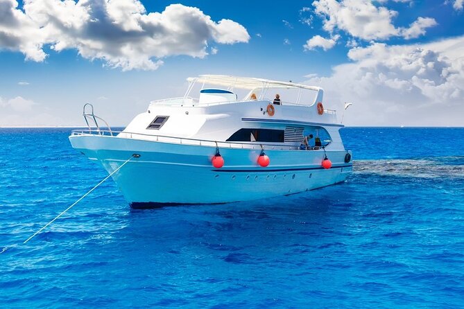 Dolphin watching 7 hours Boat Trip & Snorkelling from Hurghada - Lunch on deck with water and soft drinks