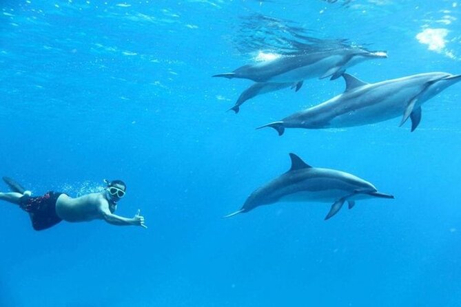 Dolphin watching 7 hours Boat Trip & Snorkelling from Hurghada - Banana boat and sofa boat rides