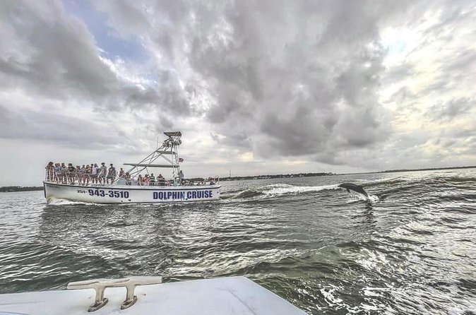 Dolphin Watching aboard the Cold Mil Fleet - Finding a good place to watch