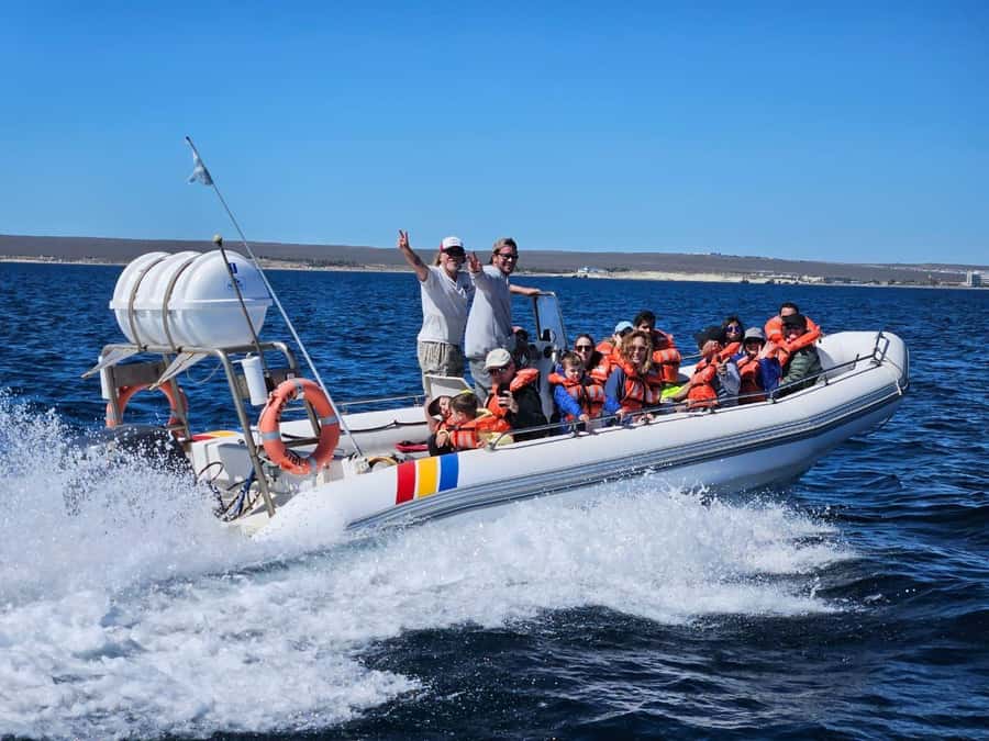 Dolphin Watching Adventure - Cruising Golfo Nuevo in Search of Dusky Dolphins