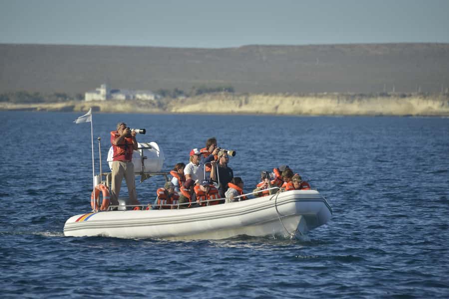 Dolphin Watching Adventure - Cancellation and Booking Flexibility