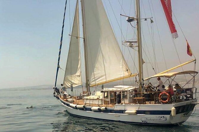 Dolphin Watching Adventure in Estepona Bay - Sailing out from Estepona Marina