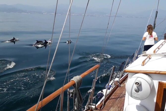 Dolphin Watching Adventure in Estepona Bay - Drinks, music, and the onboard mood