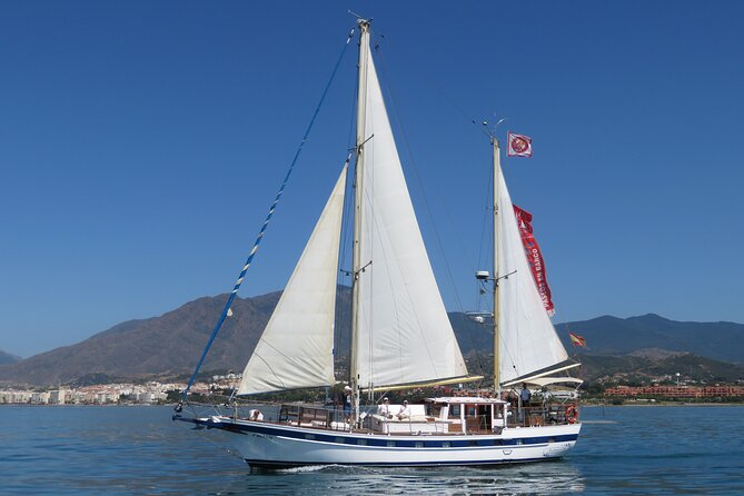 Dolphin Watching Adventure in Estepona Bay - A real sailboat, not a crowded cruise vessel