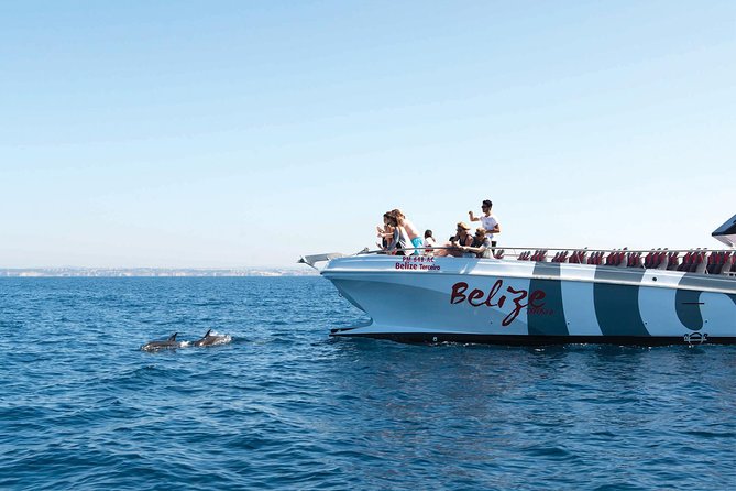Dolphin Watching and Cave Boat Cruise from Albufeira - Key points to know before you book