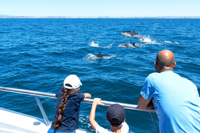 Dolphin Watching and Cave Boat Cruise from Albufeira - Along the sandstone cliffs and sea caves