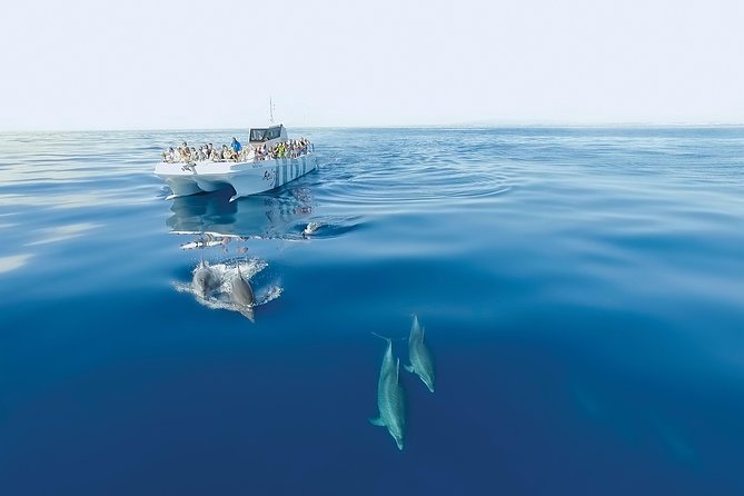 Dolphin Watching and Cave Boat Cruise from Albufeira - What the boat ride feels like