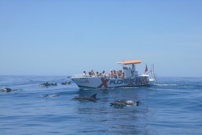 Dolphin Watching and Caves Cruise - Benagil Cave in a Ten-Minute Visit