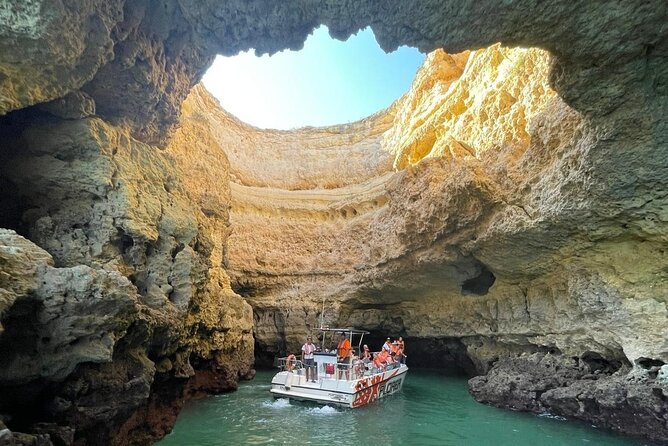 Dolphin Watching and Caves Cruise - Who Will Enjoy This Cruise Most