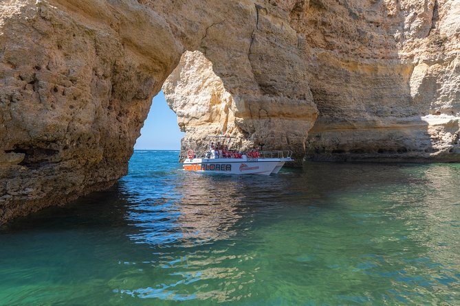 Dolphin Watching and Caves Cruise - Is the Dolphin Watching and Caves Cruise Worth Booking?