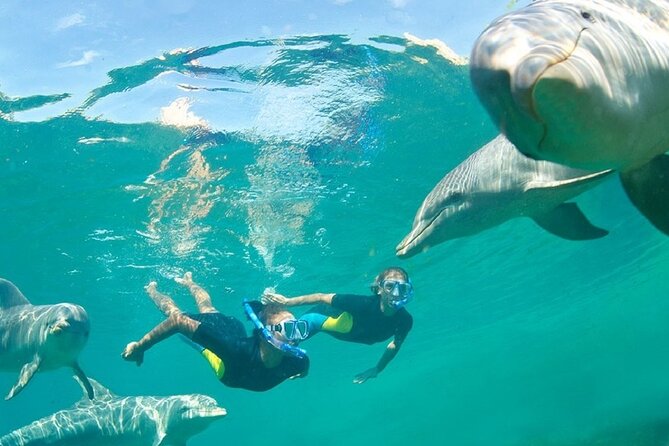 Dolphin Watching and Snorkeling Activity in Muscat - How the group size affects the morning