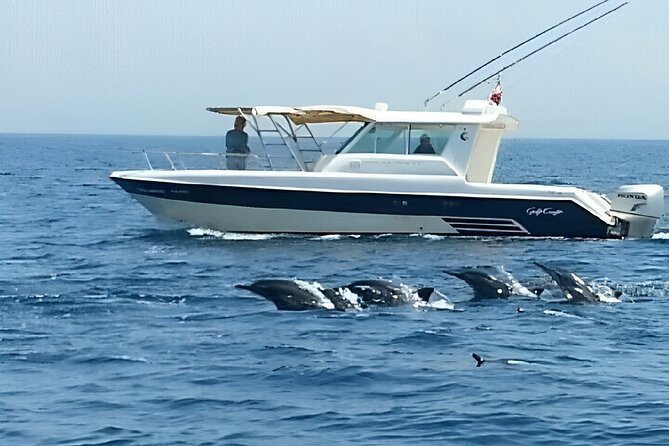 Dolphin Watching and Snorkeling Activity in Muscat - Who will enjoy this Muscat boat trip most