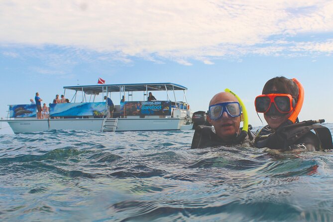 Dolphin Watching and Snorkeling Adventure in Key West - Why this Key West boat trip works