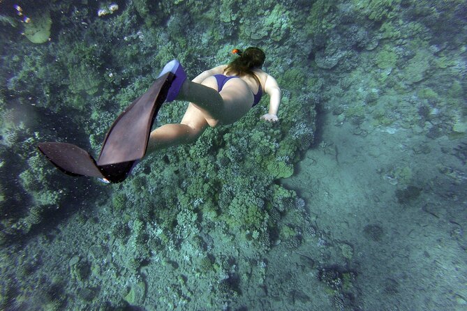 Dolphin Watching and Snorkeling Adventure in Key West - The Seabreeze catamaran and the ride out