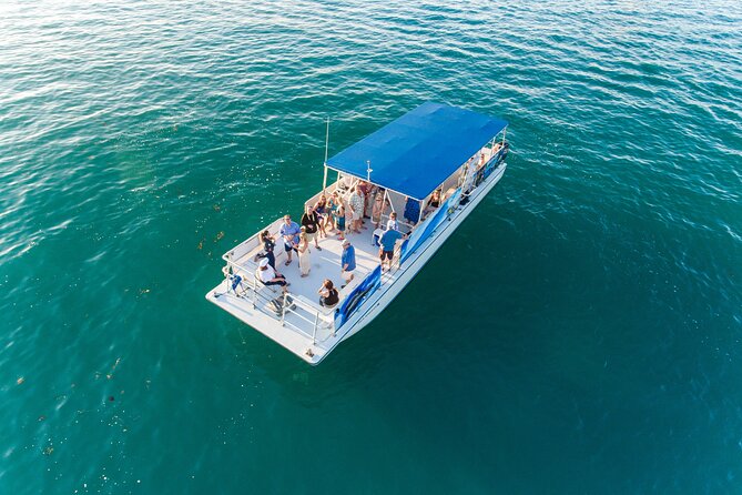 Dolphin Watching and Snorkeling Adventure in Key West - What the $89 price includes