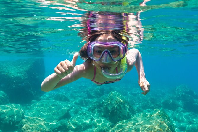 Dolphin Watching and Snorkeling in Figarolo in Sardinia - Watching dolphins around Capo Figari