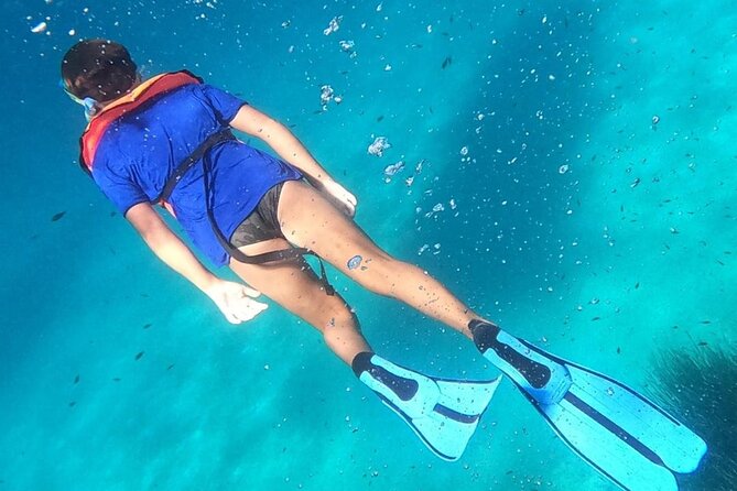Dolphin Watching and Snorkeling in Figarolo in Sardinia - Figarolo Island from the water