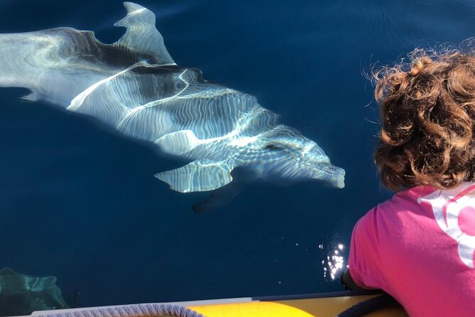 Dolphin Watching and Snorkeling in Figarolo in Sardinia - Who will enjoy this boat trip most