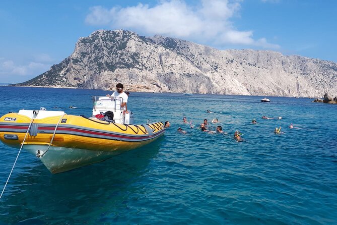 Dolphin Watching and Snorkeling in Figarolo in Sardinia - Guides, language, and the tone of the outing
