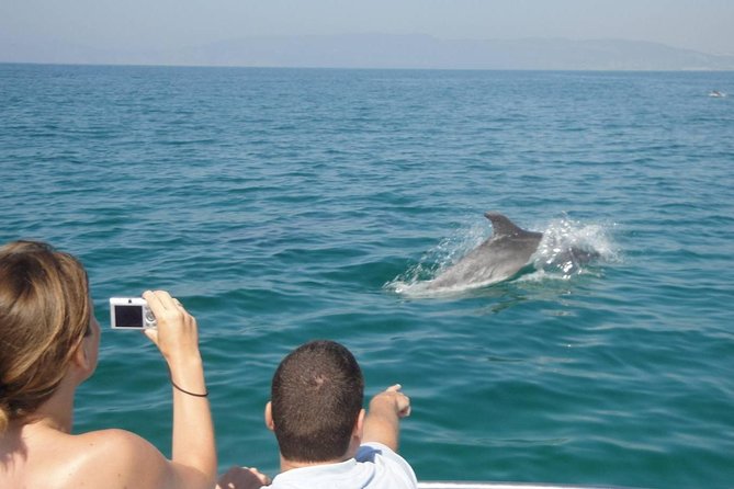Dolphin Watching and Snorkeling Tour from Muscat - Who will get the most from this tour