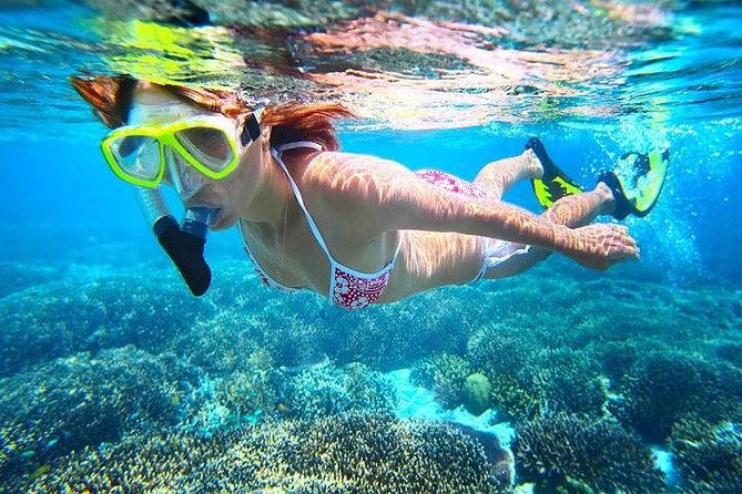 Dolphin Watching and Snorkeling Tour from Muscat - Snorkeling for one hour in Bandar Khiran