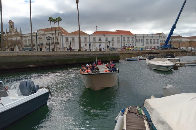 Dolphin watching and wildlife from Faro - What the $57.32 price means
