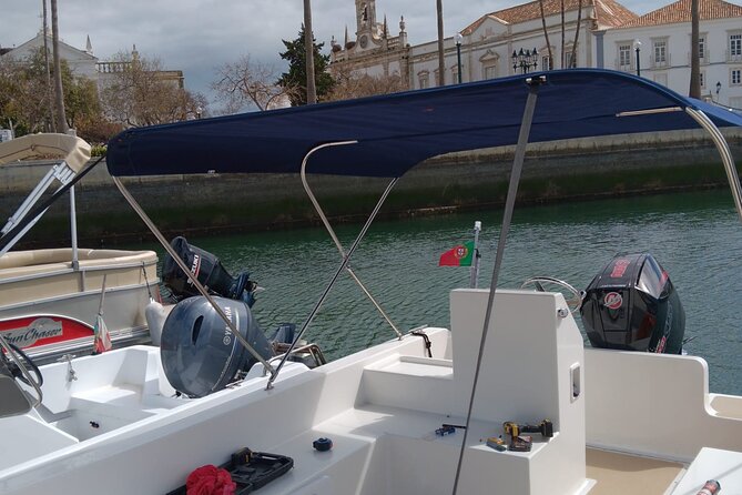 Dolphin watching and wildlife from Faro - Who will enjoy this Faro boat trip