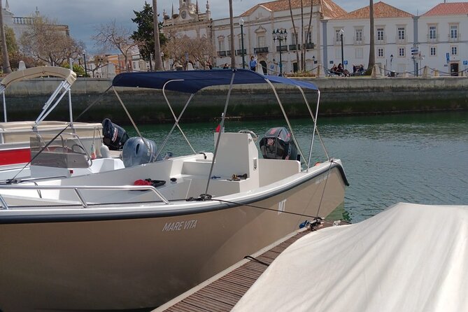 Dolphin watching and wildlife from Faro - Practical details for a smooth morning