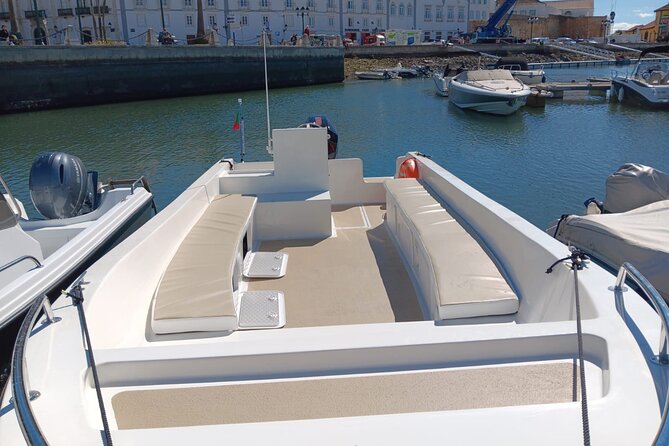 Dolphin watching and wildlife from Faro - Should you book the dolphin trip from Faro?