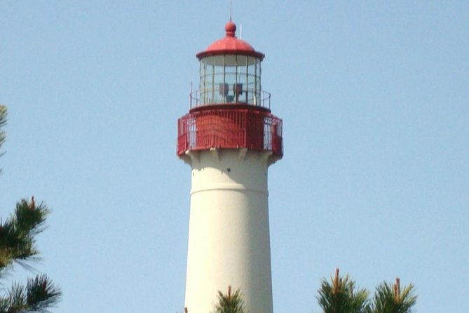 Dolphin Watching around Cape May - Setting off from Wilson Drive at 10 a.m.