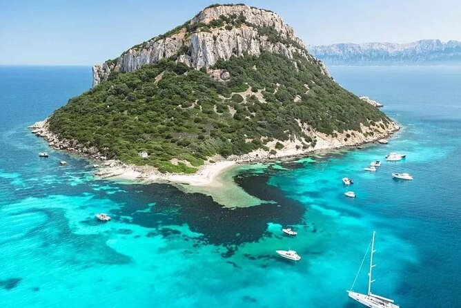 Dolphin Watching Boat Excursion to Figarolo Island from Olbia - Cala Moresca and its turquoise water