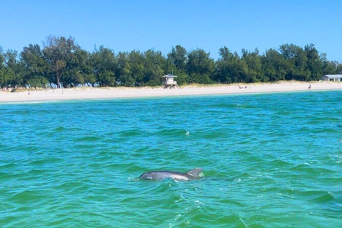 Dolphin Watching boat tour around Anna Maria Island - Bradenton Beach City Pier and island views