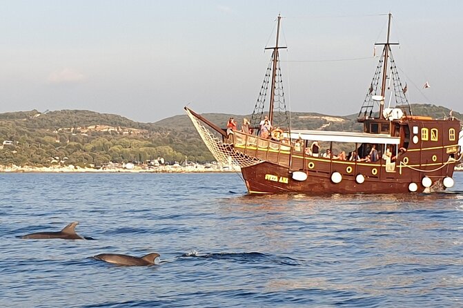 Dolphin Watching Boat Trip around Vrsar - Practical planning for the 4:30 pm departure