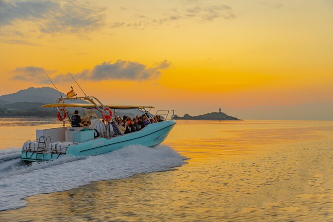 Dolphin watching by boat - A group of up to 36 people