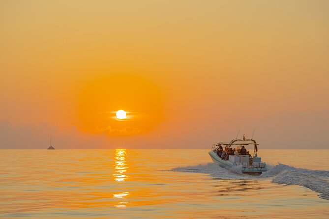 Dolphin watching by boat - Practical details that affect your morning