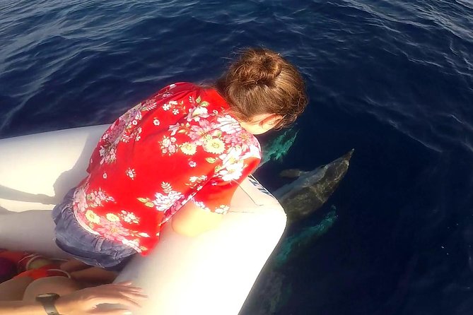 Dolphin Watching & Conservation - Dolphins in the Gulf of Catania - Mount Etna from the water