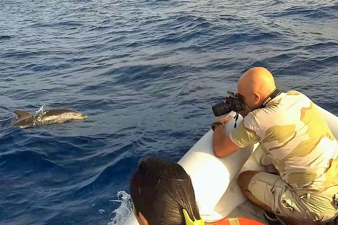 Dolphin Watching & Conservation - Dolphins in the Gulf of Catania - What the $84.48 price includes