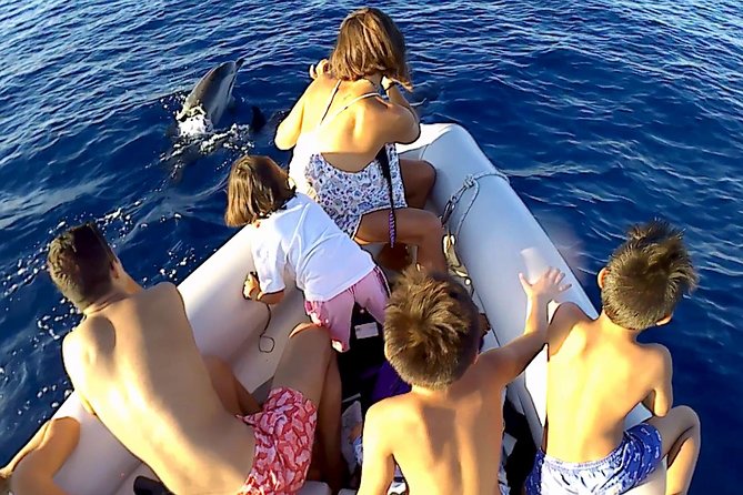 Dolphin Watching & Conservation - Dolphins in the Gulf of Catania - Comfort, sun, and family considerations