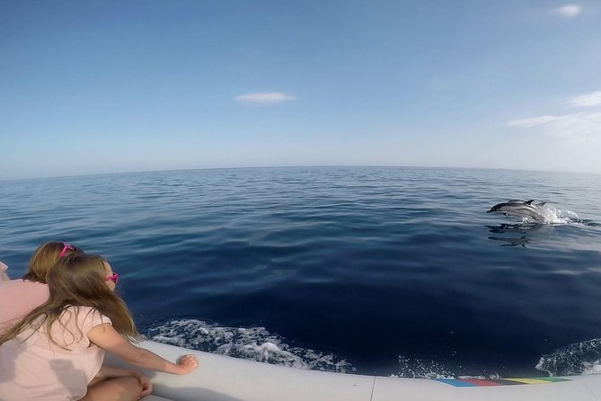 Dolphin Watching & Conservation - Dolphins in the Gulf of Catania - How the conservation rules shape the encounter