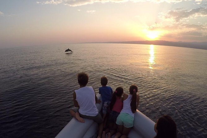 Dolphin Watching & Conservation - Dolphins in the Gulf of Catania - Aci Trezza and the volcanic coast