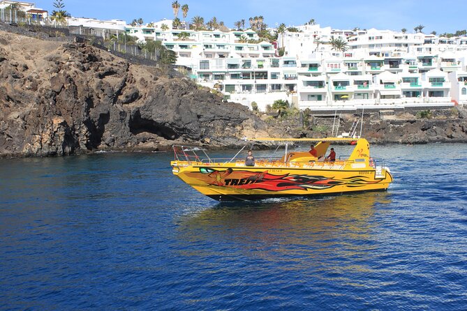 Dolphin Watching Cruise to Lobos Island - The ride toward a protected islet