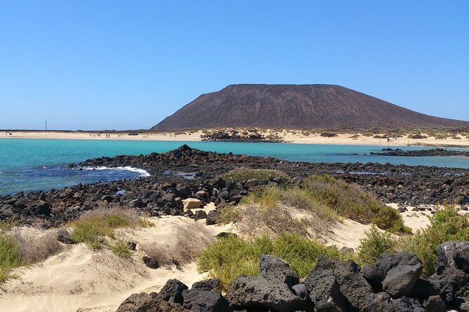 Dolphin Watching Cruise to Lobos Island - Practical details that affect your day