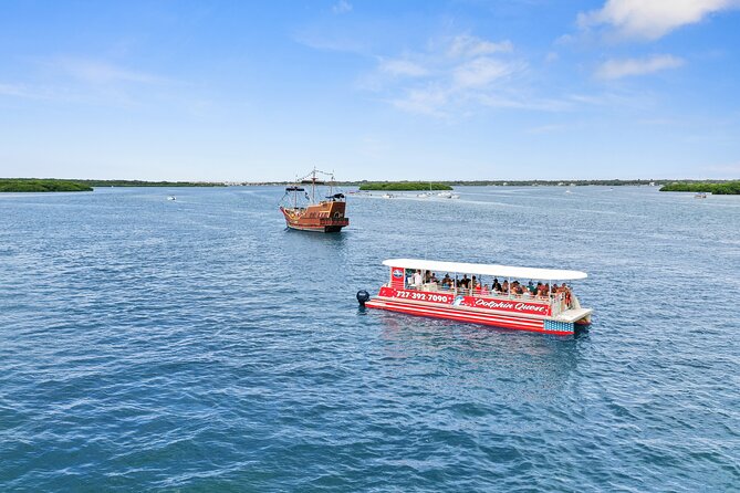 Dolphin Watching/Eco Cruise, John's Pass, Madeira Bch, FL - Watching dolphins without expecting a show