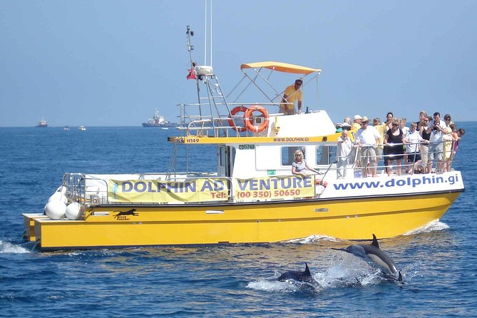 Dolphin Watching Excursion in Gibraltar - What happens during the 75-minute sailing