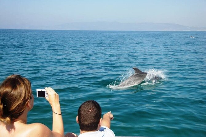 Dolphin Watching from Faro - The return route through the Ria Formosa