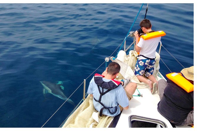 Dolphin Watching from Fuzeta - Food, drinks, and what to bring